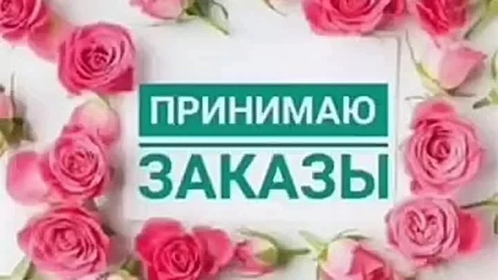 Добрый день☀
Принимаю заявки
Оса
Барда
Чернушка
Доставка в ЧЕТВЕРГ 🚗
Ваш менеджер Алёна 
8-912-887-