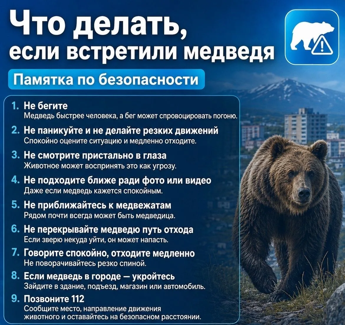 🐻 В Петропавловске утвердили план на случай выхода медведя в город.