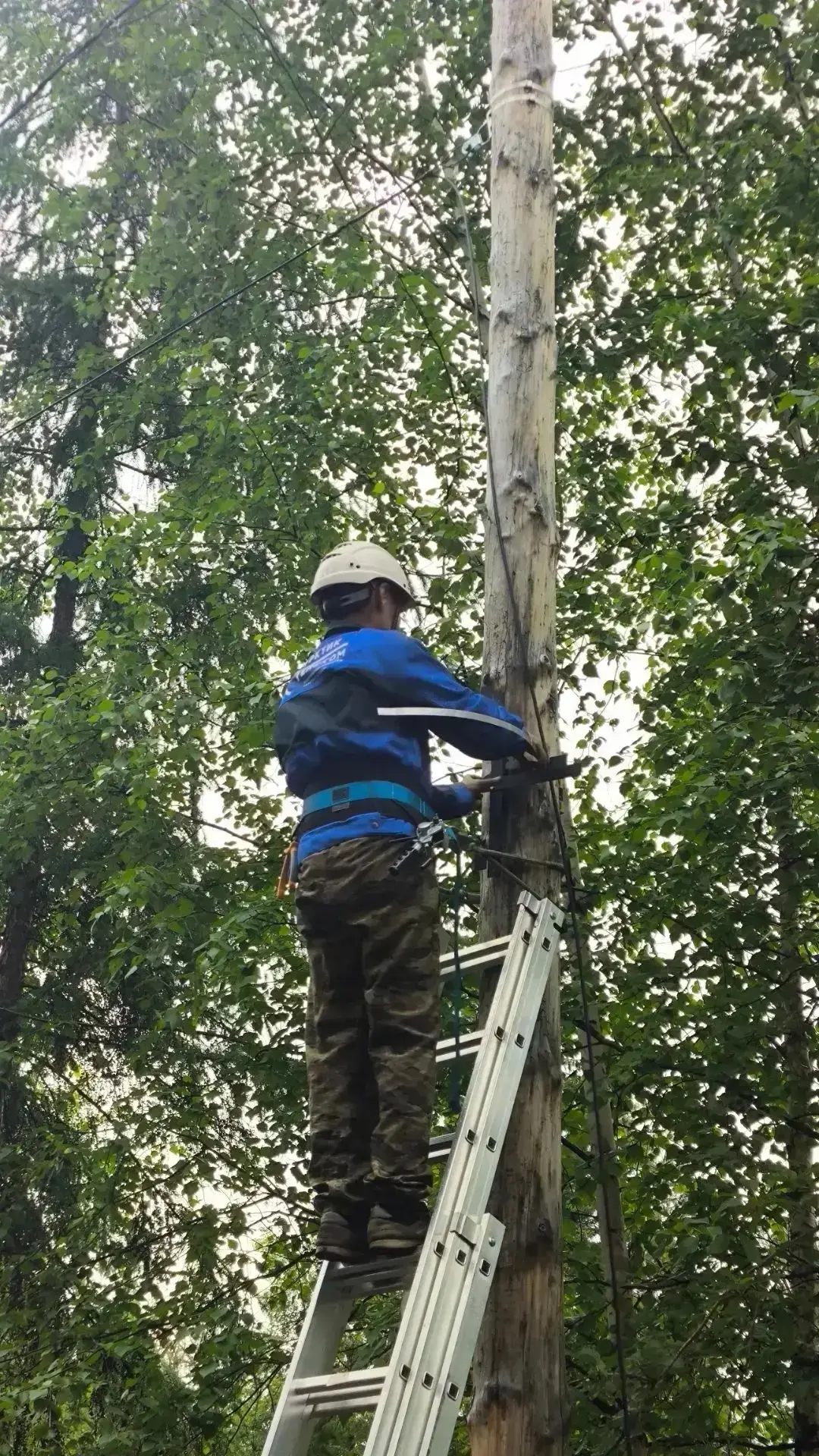📲 В труднодоступных селах Токко и Уолбут впервые заработал высокоскоростной интернет

Высокоскорост