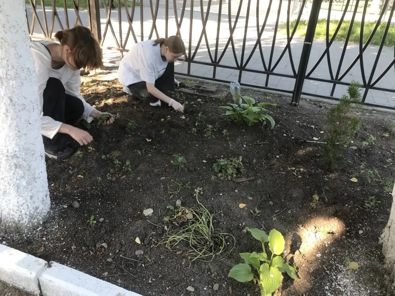 📌 Летняя практика  началась! Учащиеся  10 а  класса  вместе с классным руководителем - Ольгой Никол