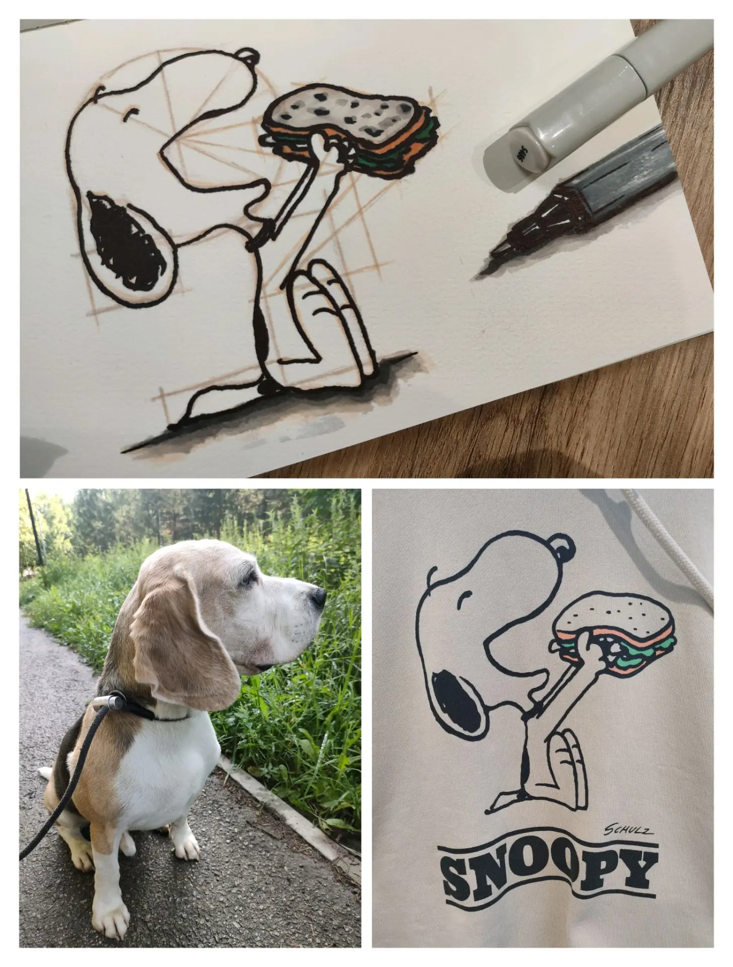 Оказывается, что Снупи породы бигль, как и мой Беня, я и не знала🤎🐾:)