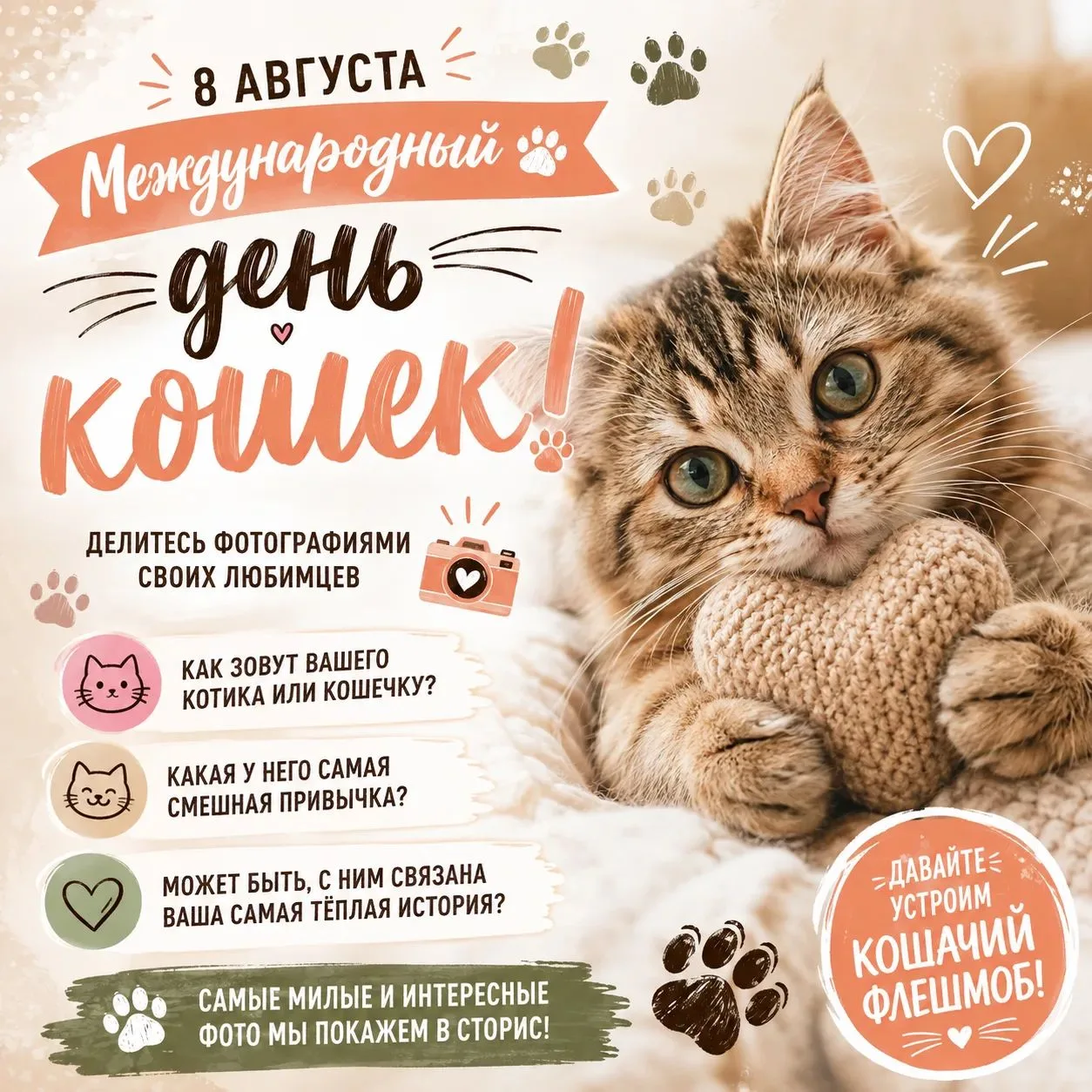 🐾 8 августа — Международный день кошек!🐈💛
