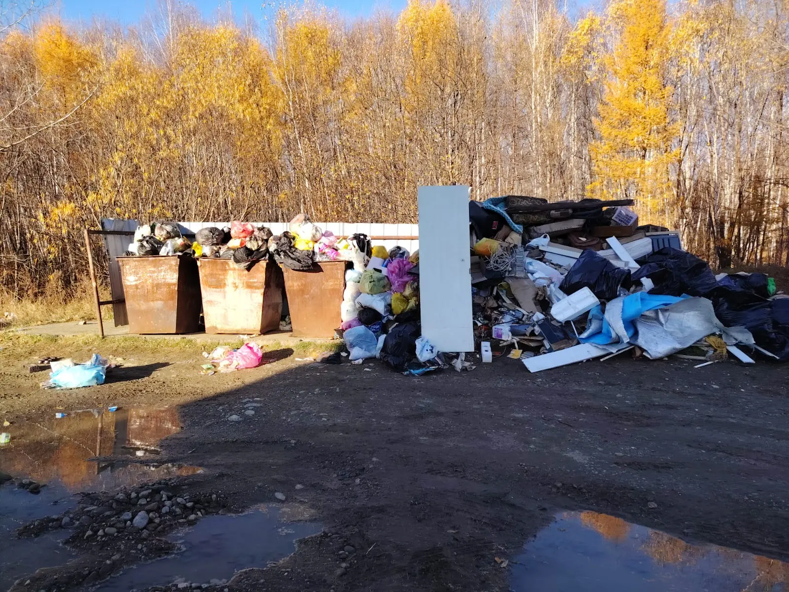 "Солнечный 6. Вторую неделю мусор не вывозят. Видимо медведей ждут"