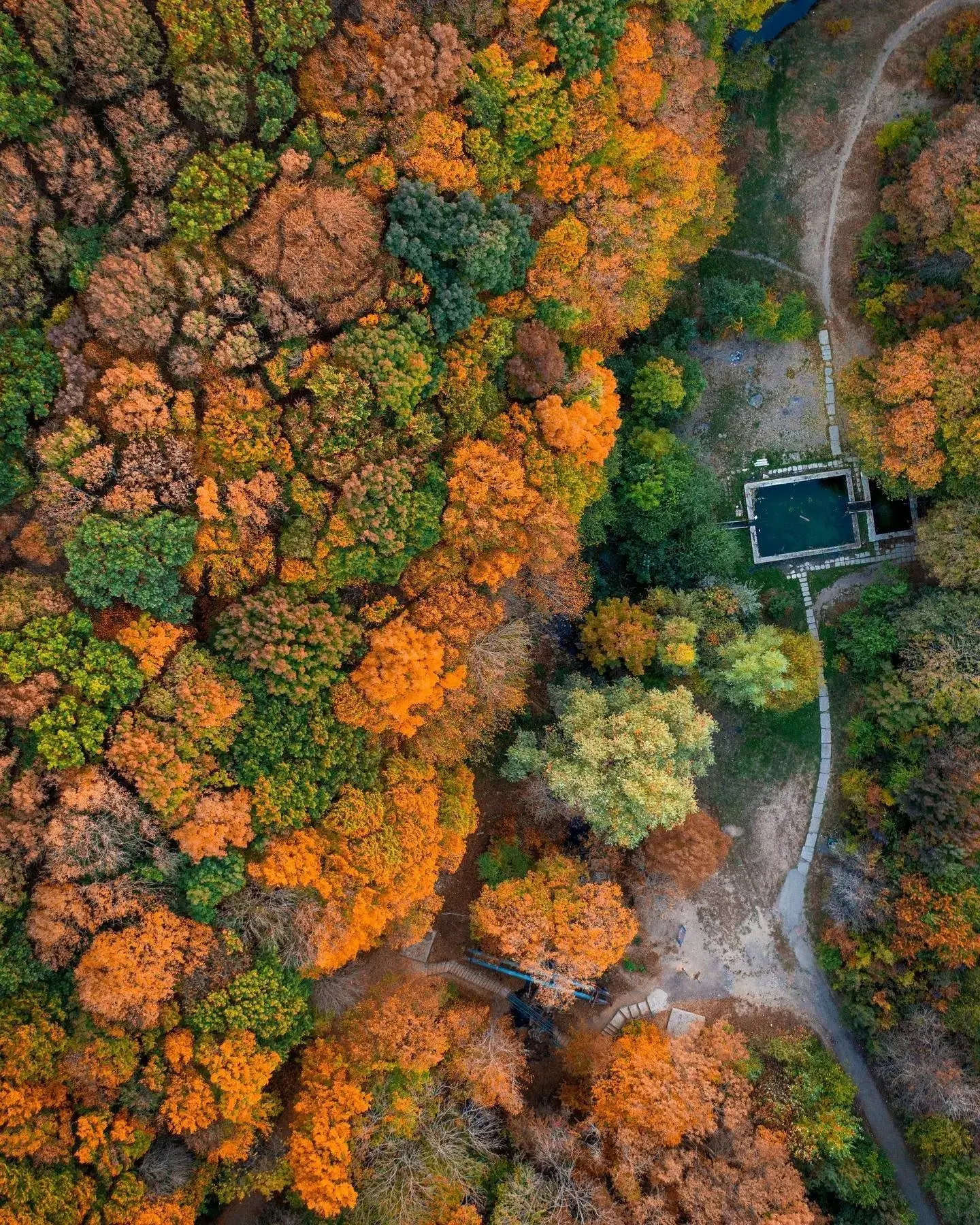 🍂🍃Урочище родника Корыта