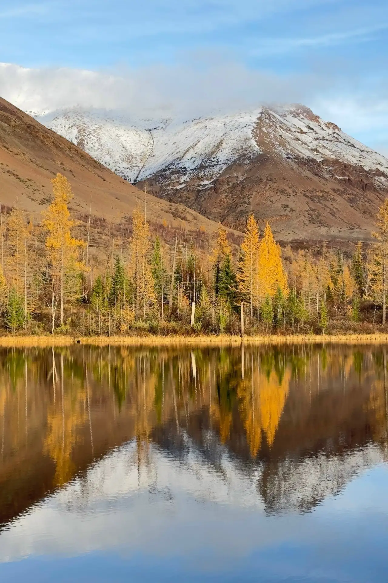 Прекрасные осенние горы 🍂❤