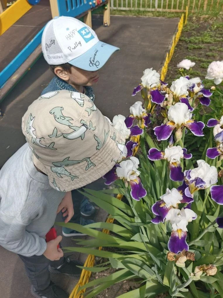 🌼 На участках детского сада цветут цветы — яркие, нежные, удивительные!
Дети с восторгом замечают к