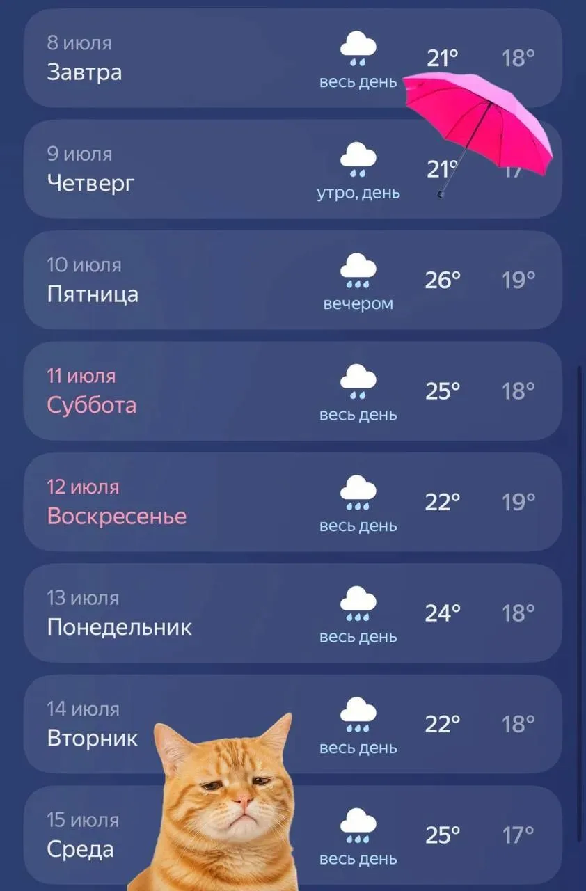 Дожди, сплошные дожди!