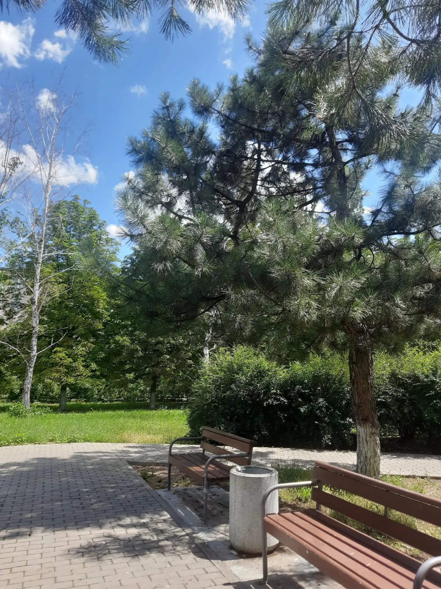 🌞 Лето глазами детей

Мои сегодня ходили на небольшую прогулку с утра. Небольшую, потому что прогул