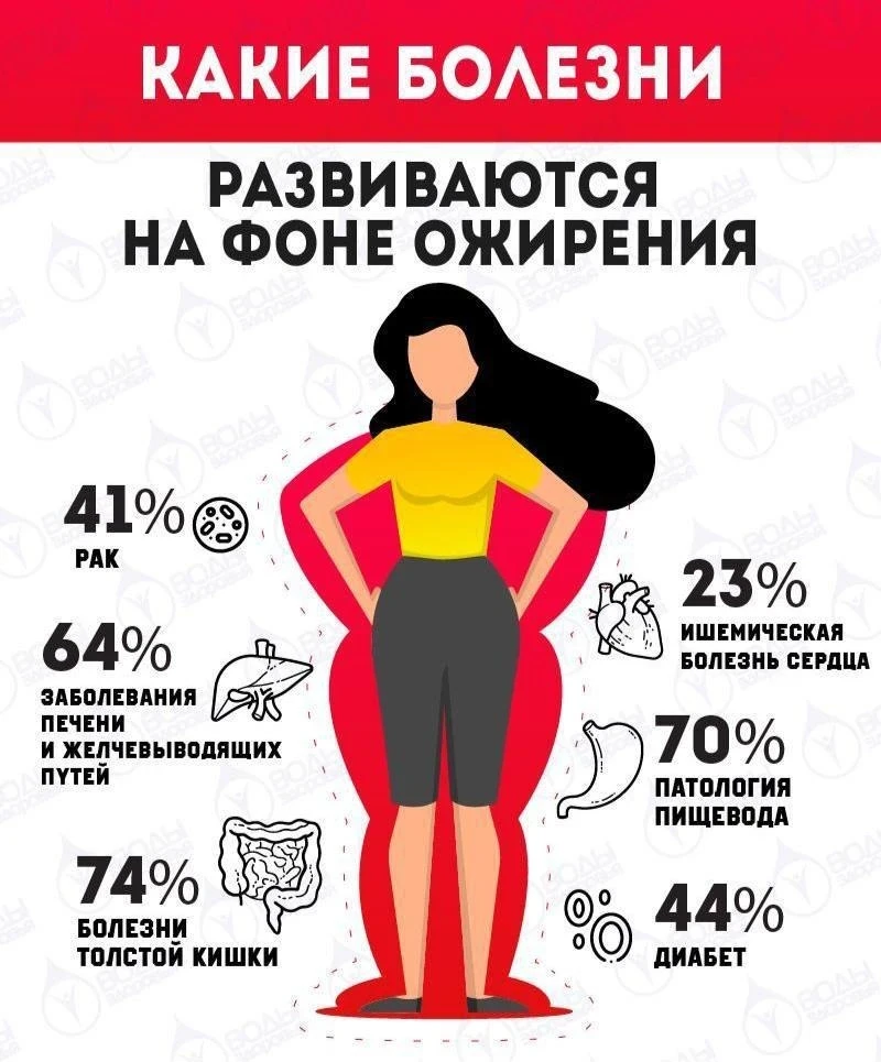 Ожирение — не просто вопрос внешности, а серьёзный фактор риска для здоровья.