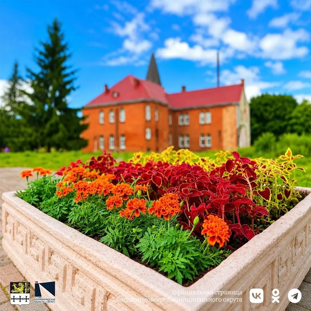 Долгожданное лето! На термометре +30 С.☀️

🌸 Благоустройство центральной площади продолжается: на к