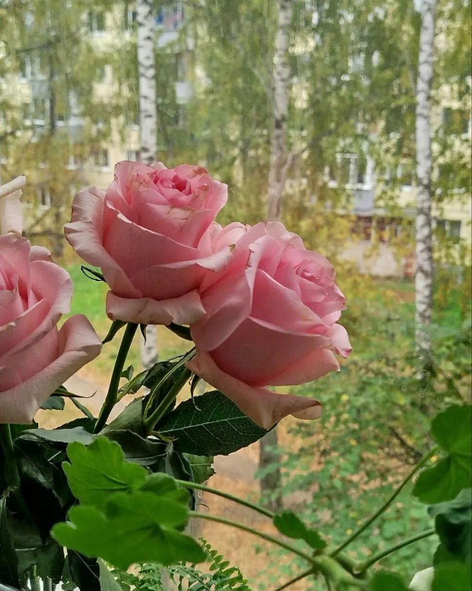 Отопление включили.