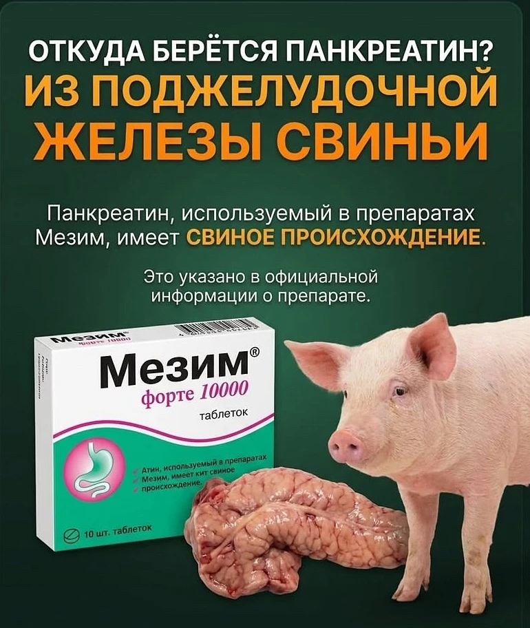 А вы знали? Все таки очень много пользы для мира приносят эти удивительные животные.