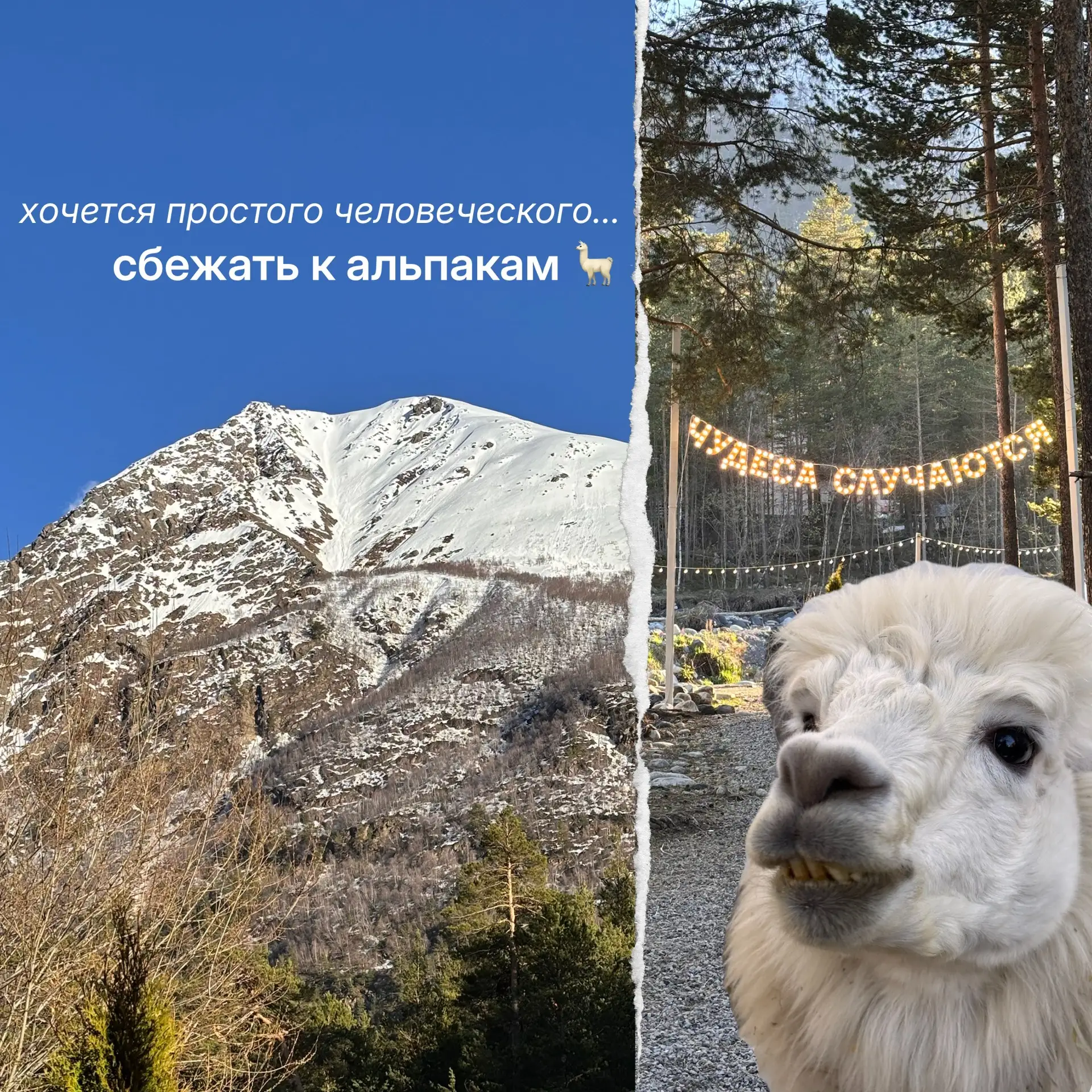 Среда — маленькая пятница. После пиковых нагрузок первой половины недели уровень концентрации неизбе