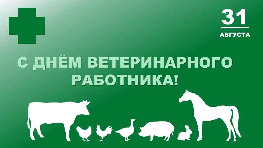 С Днём ветеринарного работника!