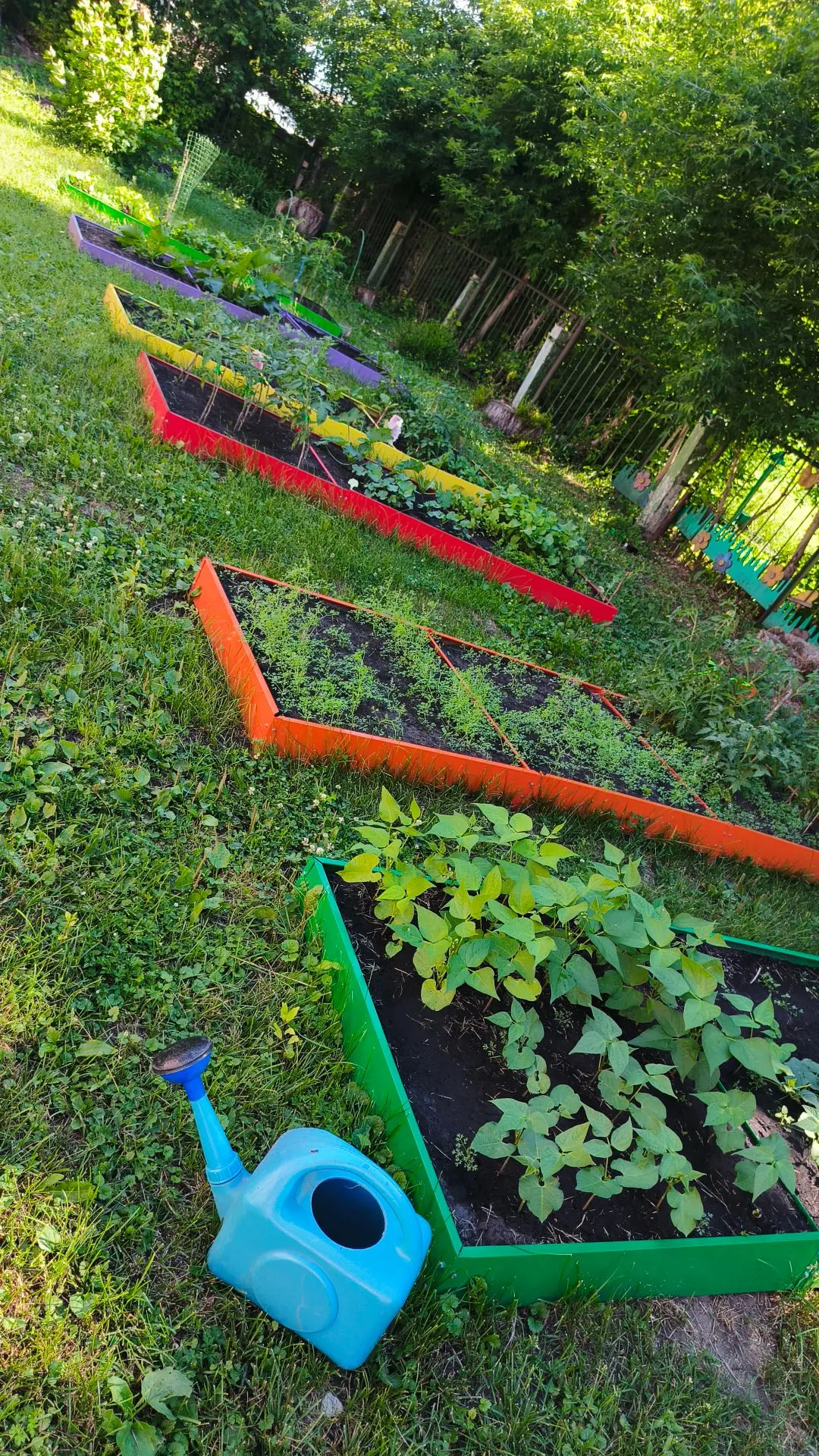 Наш весёлый огород: радуемся первому урожаю! ☀️🌱

Лето — это не только время для игр, но и пора уди