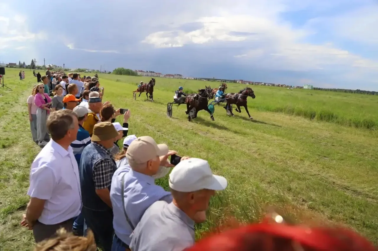🐎 Соревнования по конному спорту прошли в Тюменской области в День России