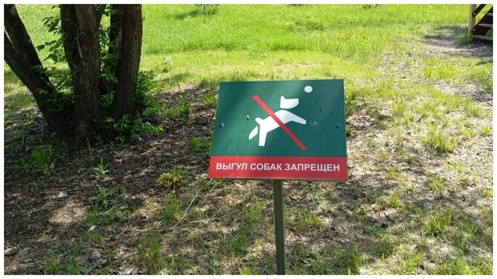 Два района Новосибирска озеленяют «по гарантии»: тысячи деревьев и кустарников

В Кировском районе п