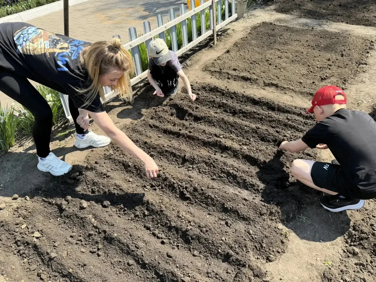 Мы сажаем огород. 🥕🌽🍉Посмотрите ,что растет!