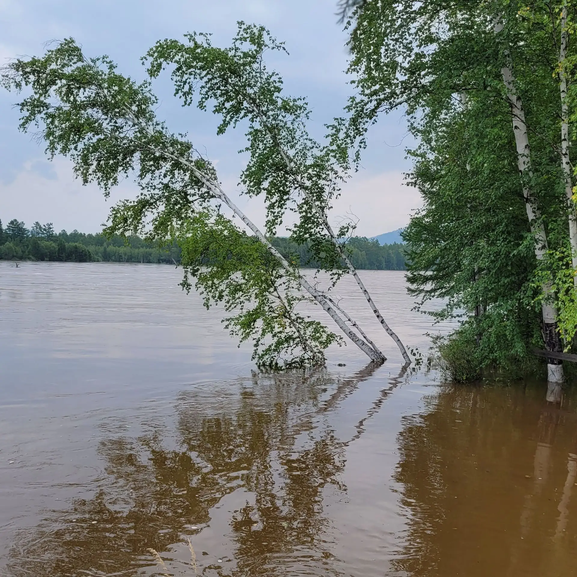 🌤️ Без существенных осадков: на севере ночью - плюс 1, на юге днём - плюс 28