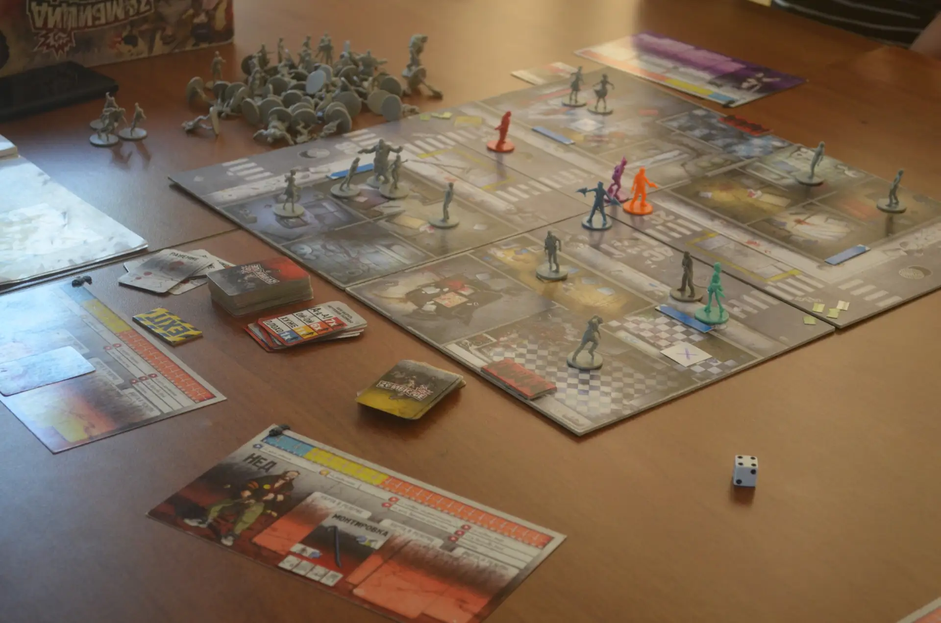 тем временем в СЛОНе 🐘💕
