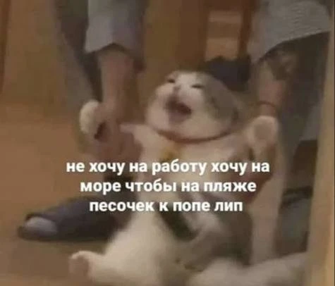 💰«Скрытый налог» офисных сотрудников может достигать 75 450 ₽ в месяц.

Проезд обходится примерно в