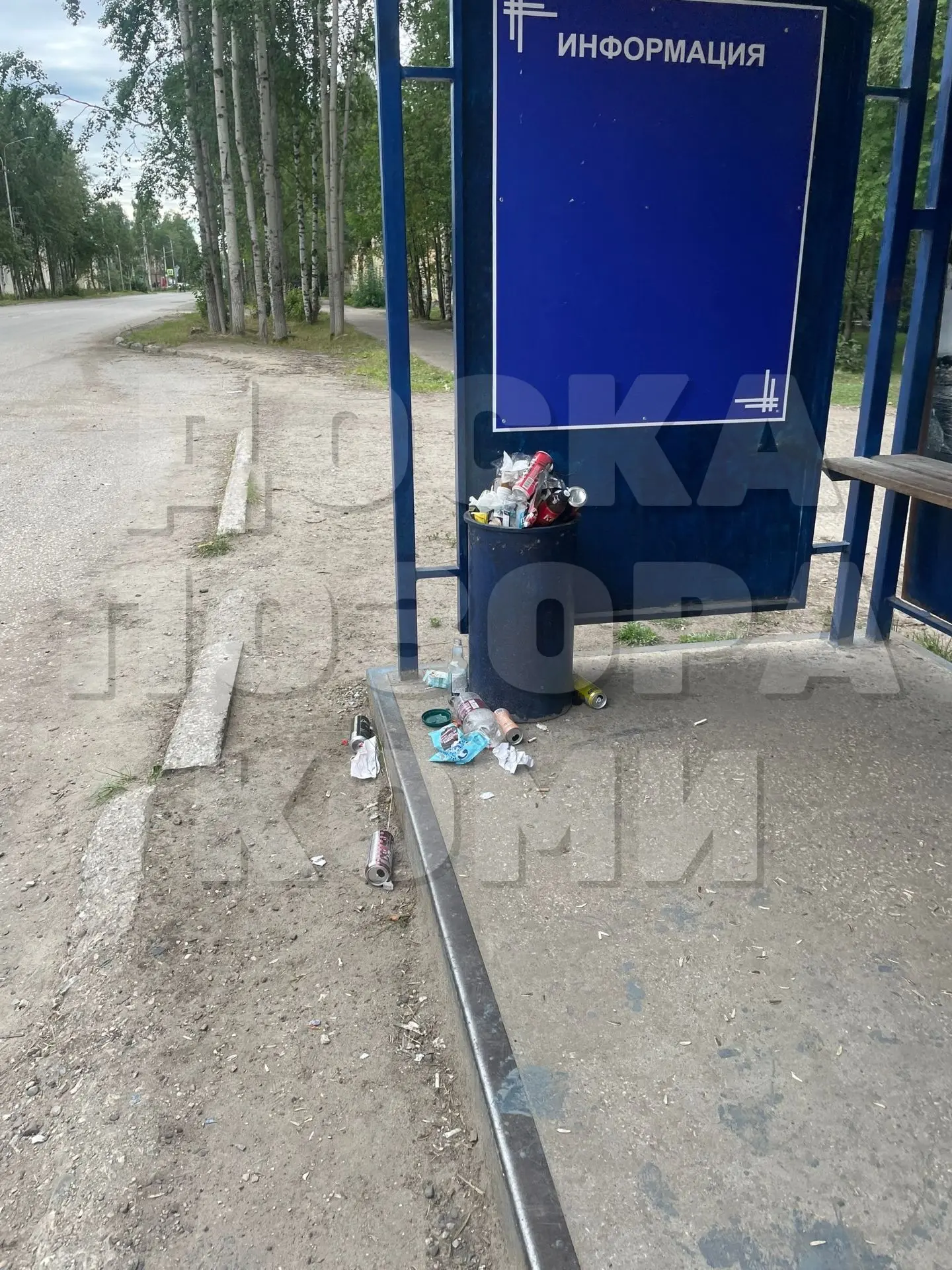 13 августа прогулялась по Печоре. В городе царит беспорядок: урны переполнены, на газон...
