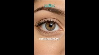 👁️ КАК ВЫГЛЯДИТ ГЛАЗ?