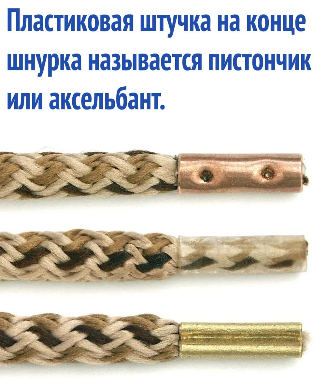 интересные факты / тайны / загадки / наука
