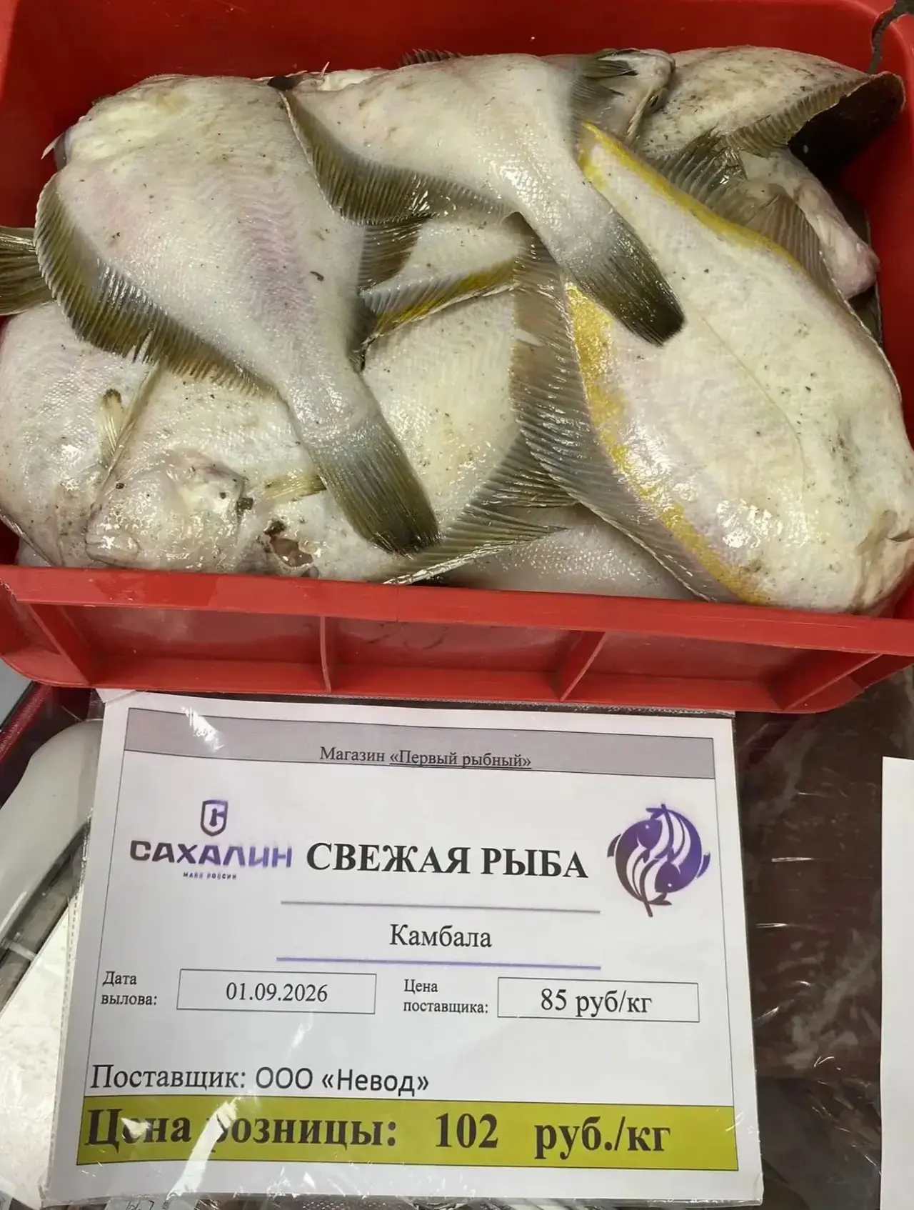 Уважаемые жители г. Томари!