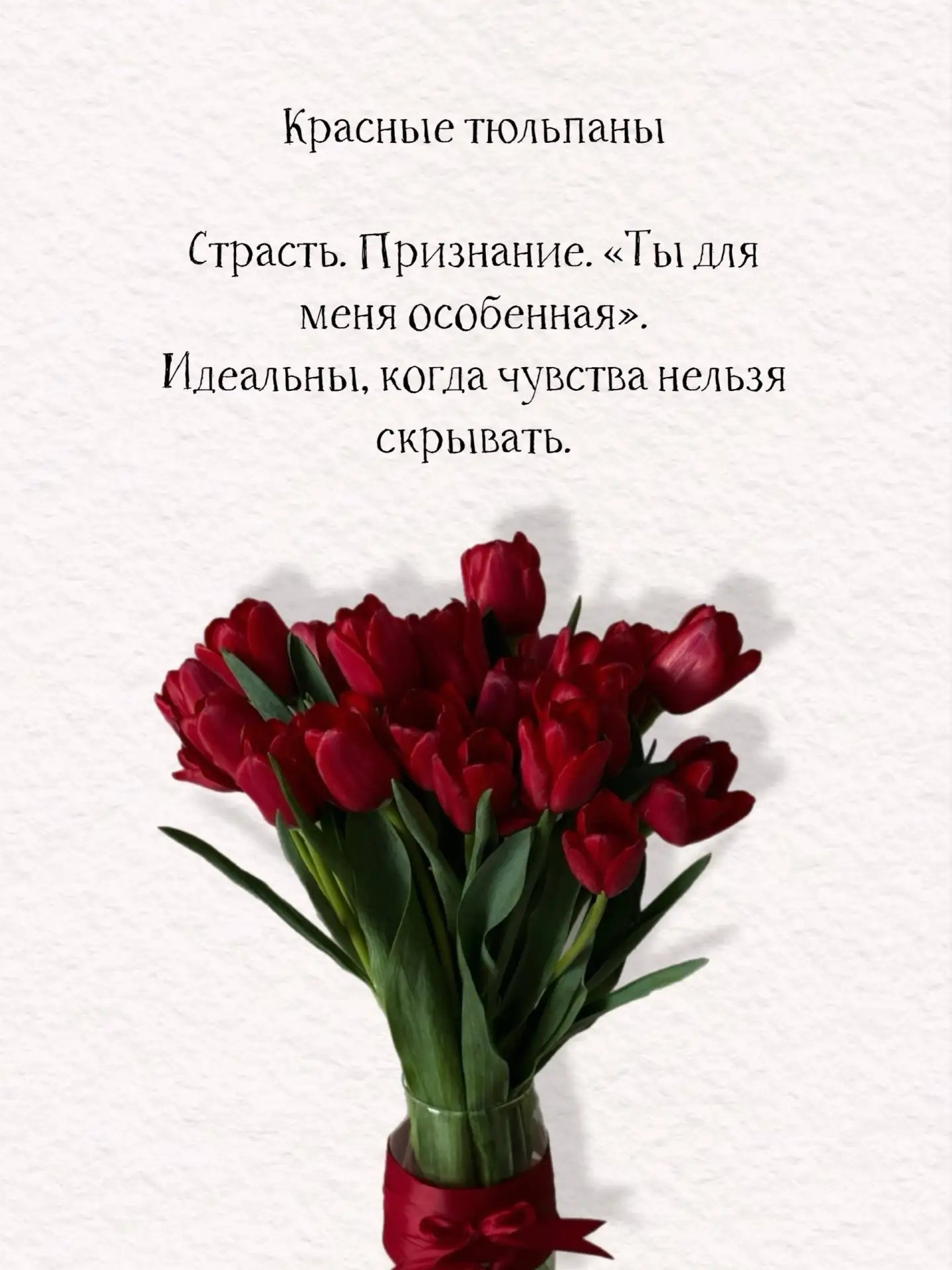 ТЮЛЬПАНЫ ОПТ-РОЗНИЦА ⁣⁣⠀ ⁣⁣⠀ 📍СУРГУТ/НИЖНЕВАРТОВСК⁣⁣⠀ ⁣⁣⠀ ⁣⁣⠀ > Тюльпаны премиум сортов⁣⁣⠀ > ОПТОВАЯ