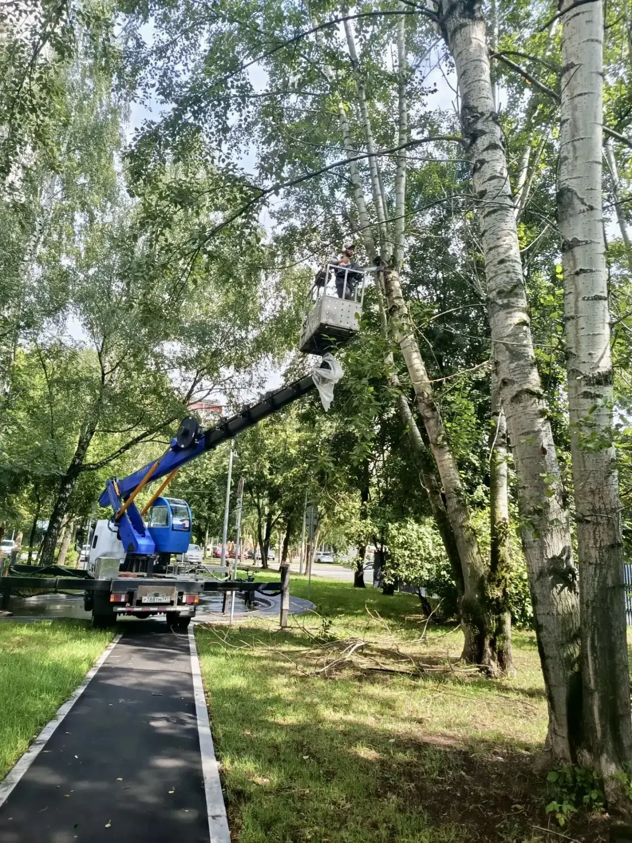 Дорогие жители района Отрадное!

Рады сообщить вам о проделанной работе по улучшению нашего общего п