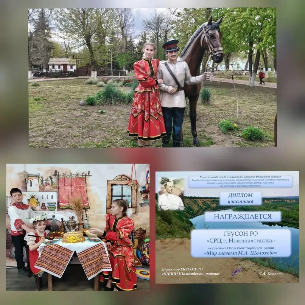 В рамках фестиваля «Шолоховская весна», посвящённого дню рождения М.А. Шолохова, ГБУСОН...