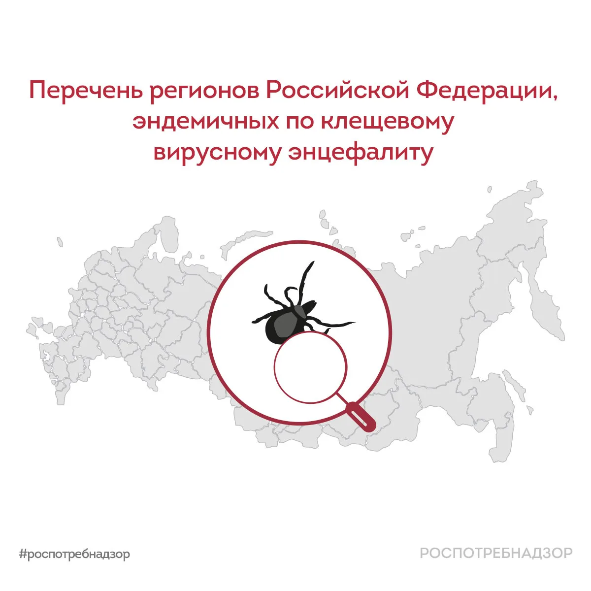 Эндемичные регионы по клещевому вирусному энцефалиту в России  🌿 Эндемичные районы/регионы по клещев