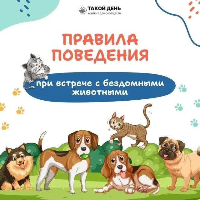 ❗Безопасность детей при встрече с бродячими собаками 🐕‍🦺 🐕 🐩