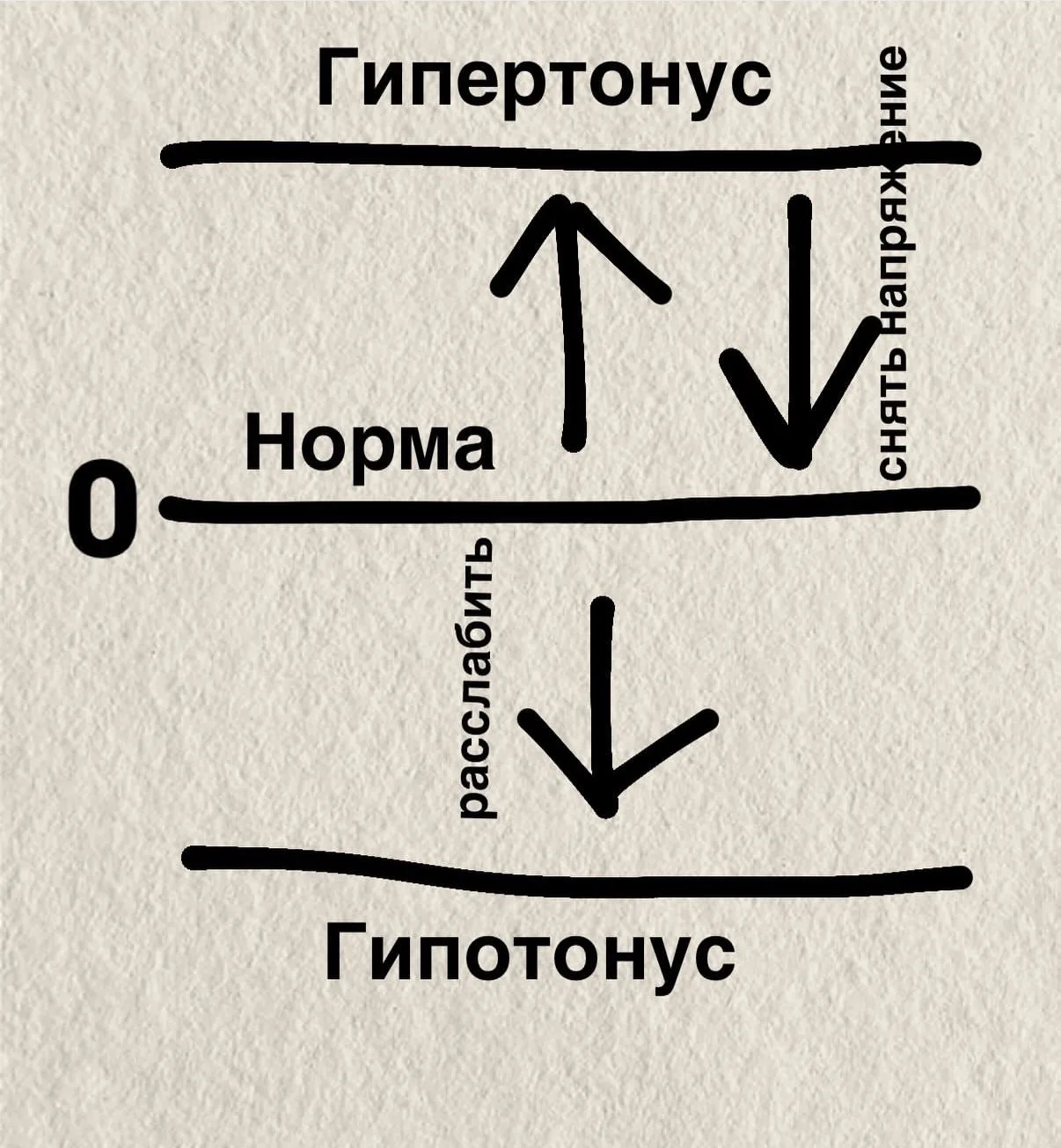 Врач-неонатолог, остеопат - и студентка тренинга СПб-1 Айна Болотбиева: