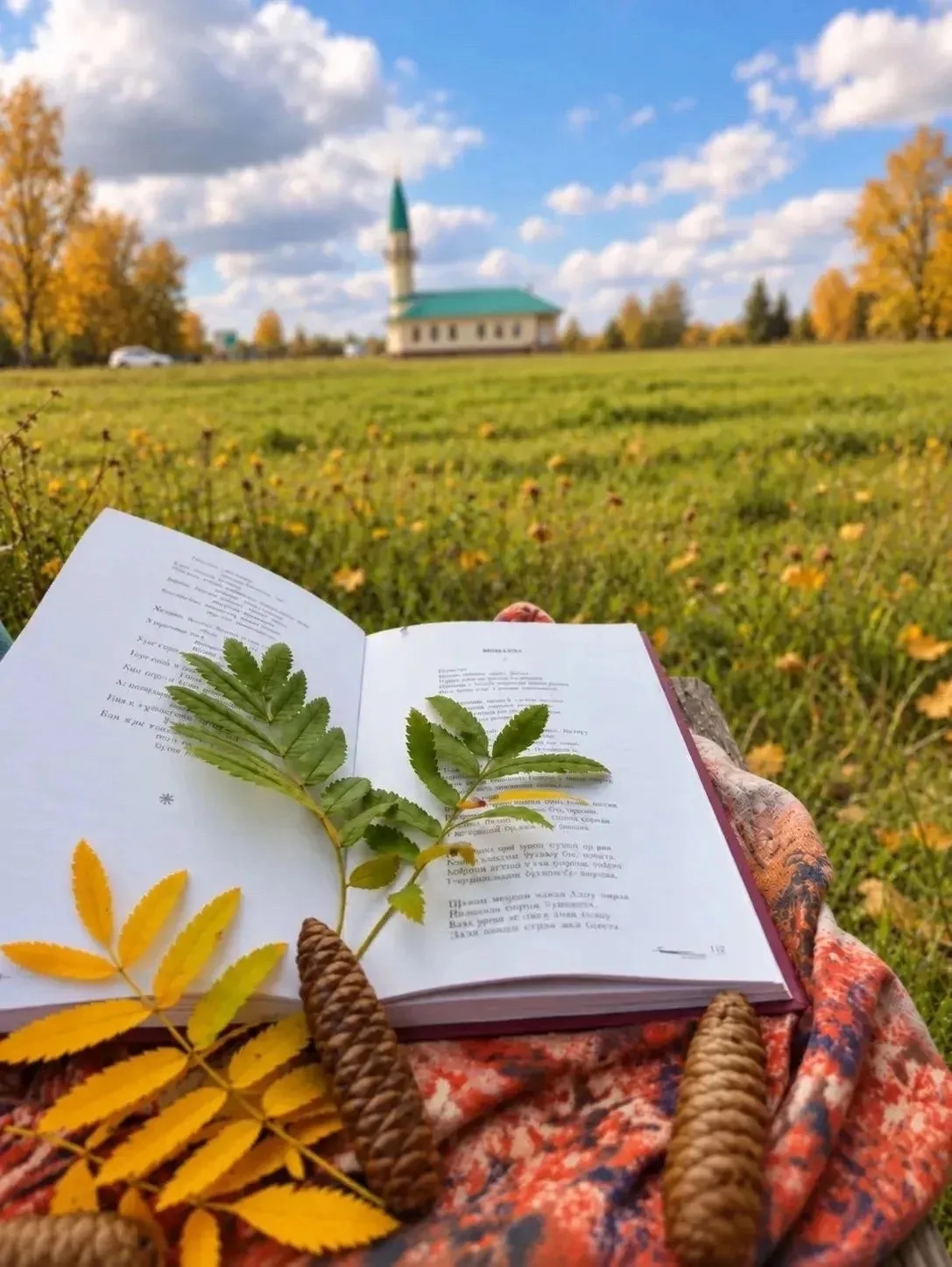 🧡Доброе осеннее утро!