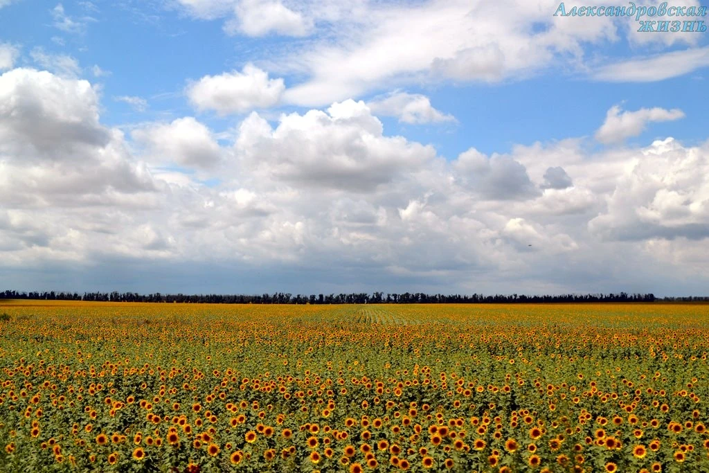 Доброе утро, дорогие друзья!🌤️