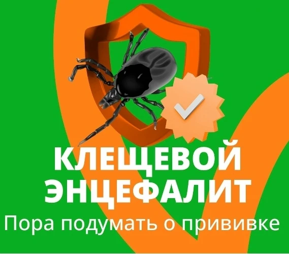 🦟 Клещи просыпаются: время подумать о защите от них