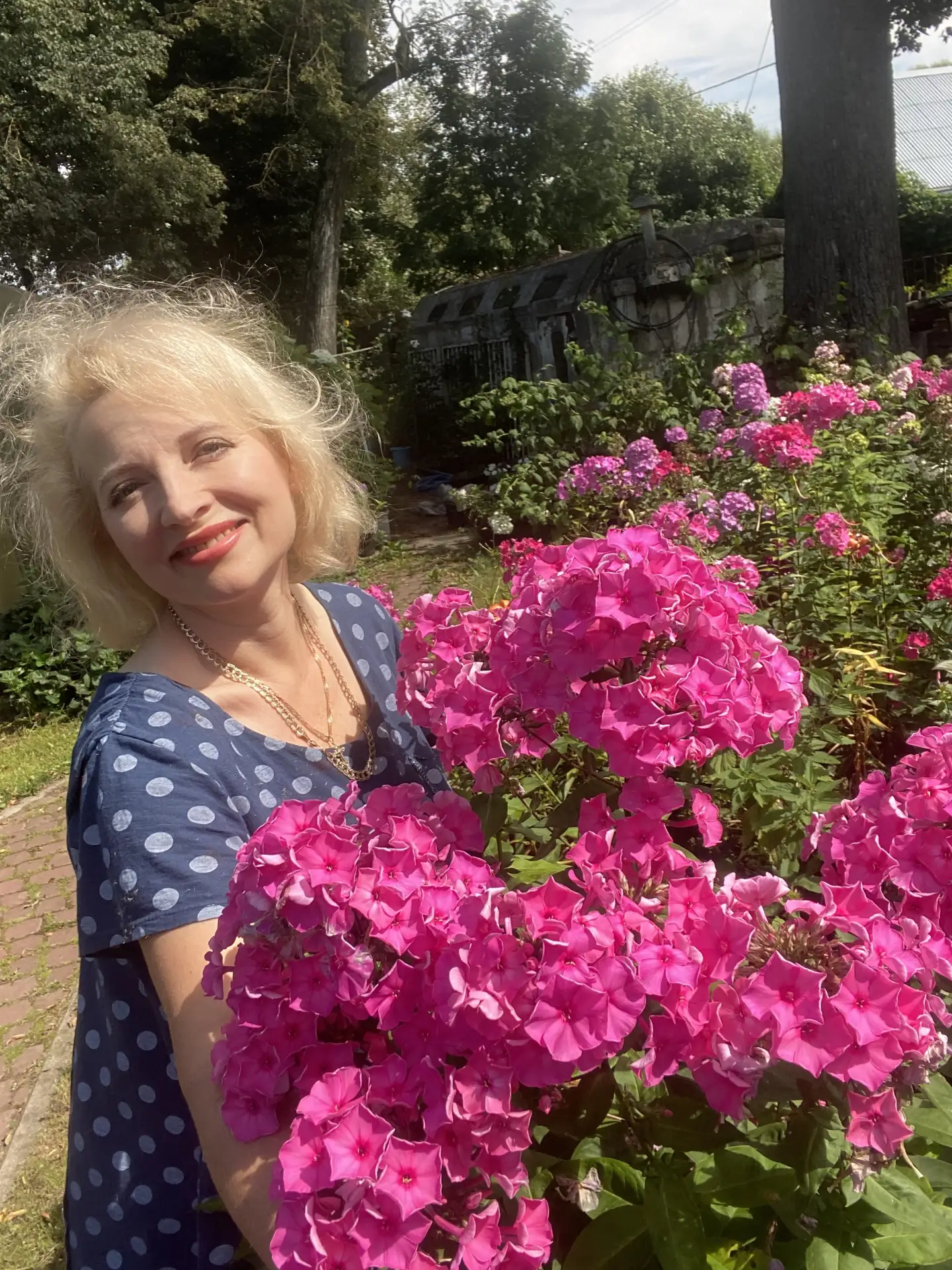 Звёздный час для Флоксов!🌸 Момент когда Розы обрезаны после первого цветения а Гортенз...