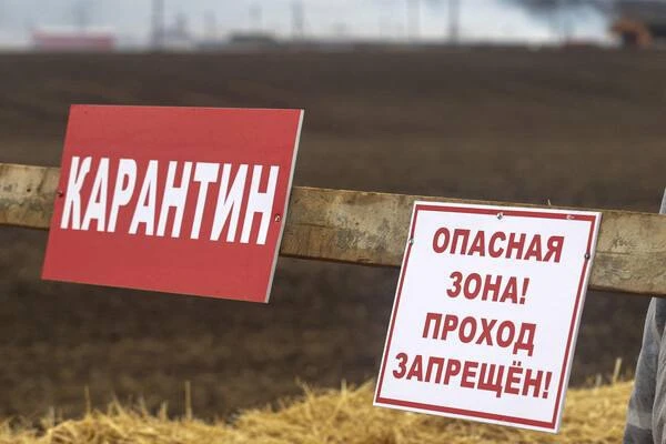 В Самарской области объявили карантин из-за болезни Банга. Инфекция разрушает внутренние органы

А е