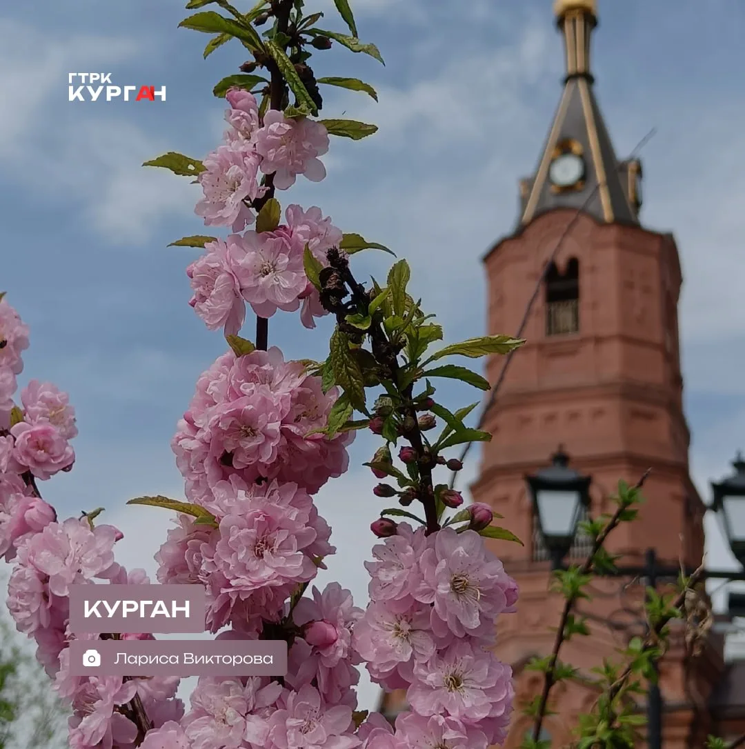 🌤 Доброе утро, зауральцы!