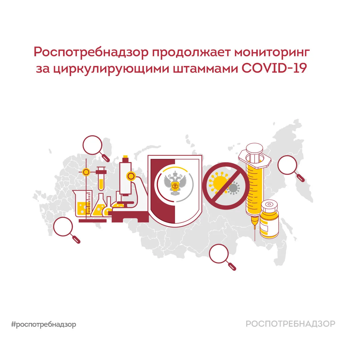 🦠 Вариант COVID-19 BA.3.2, прозванный «Цикада» — это линия SARS-CoV-2, относящаяся к варианту Омикро