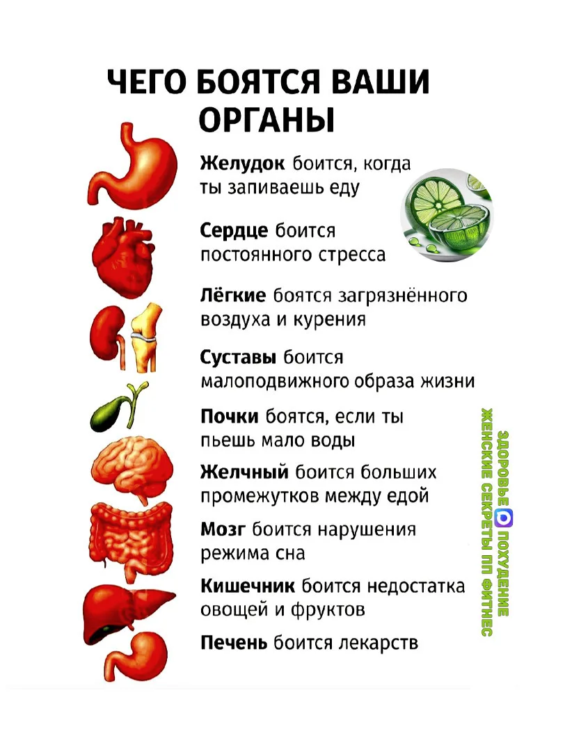 💪 Здоровье изнутри:  Каждый орган нашего тела нуждается в заботе! 🍏🥦  ✅ Желудок боится неправильных 
