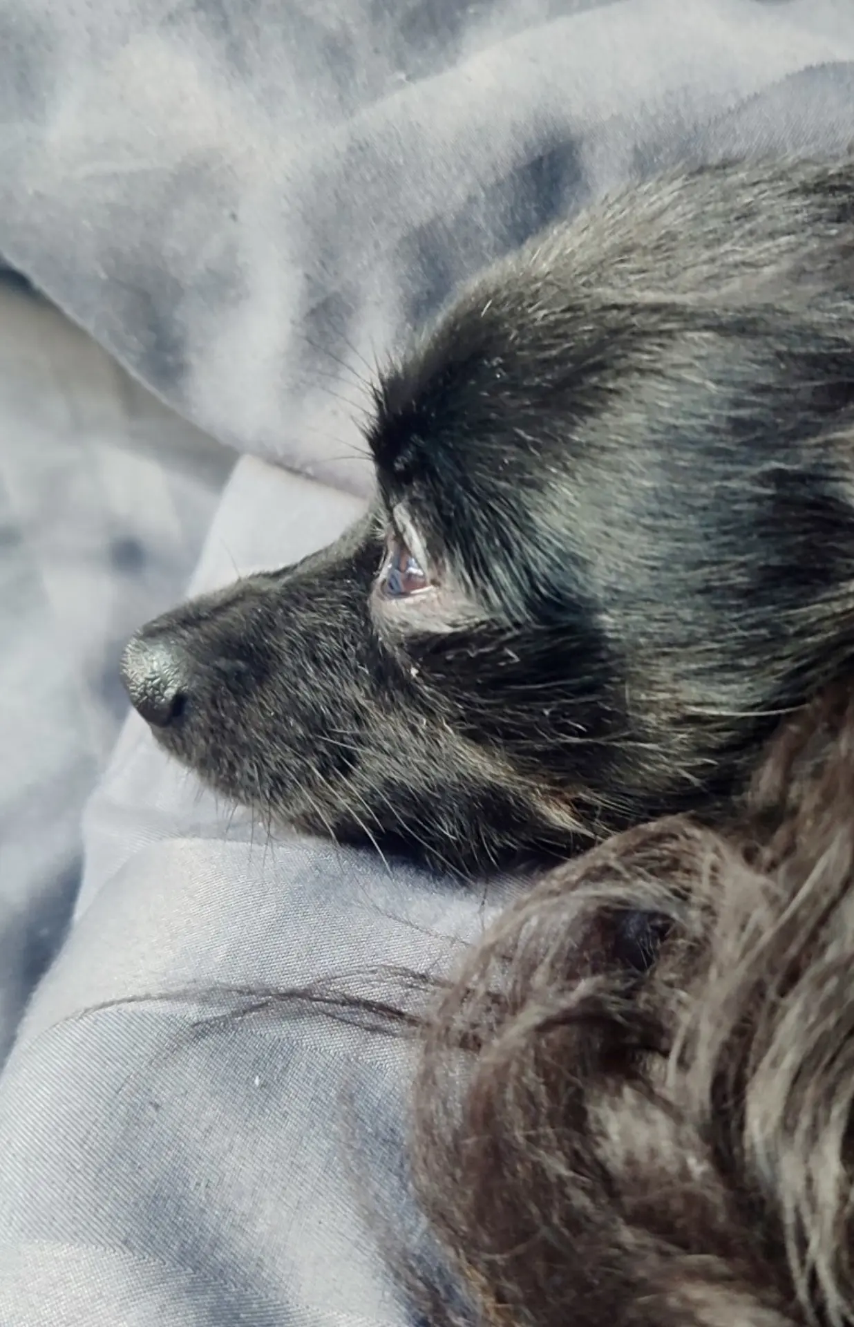 🐾😴😉