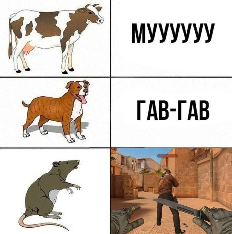 Виды животных! 😏