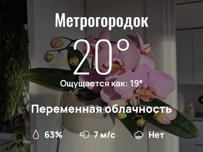 Что с погодой в Метрогородке?