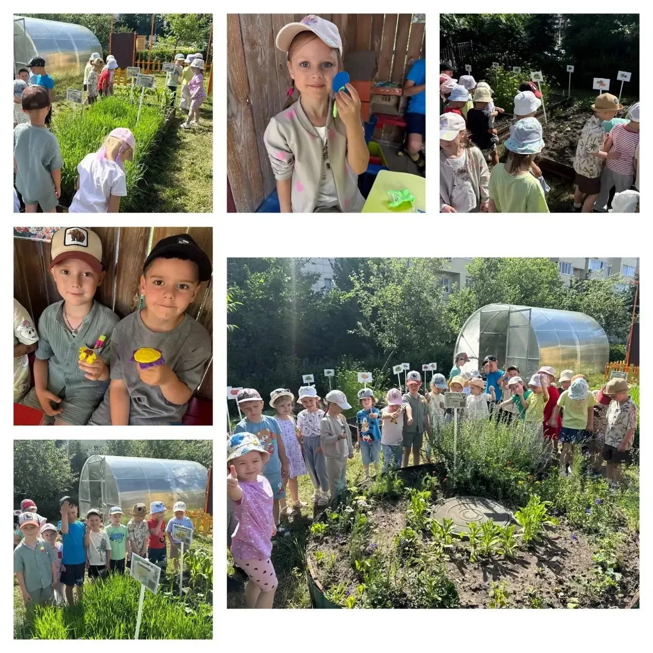 29 июня-тематический день в детском саду «В мире растений»🌱🍃