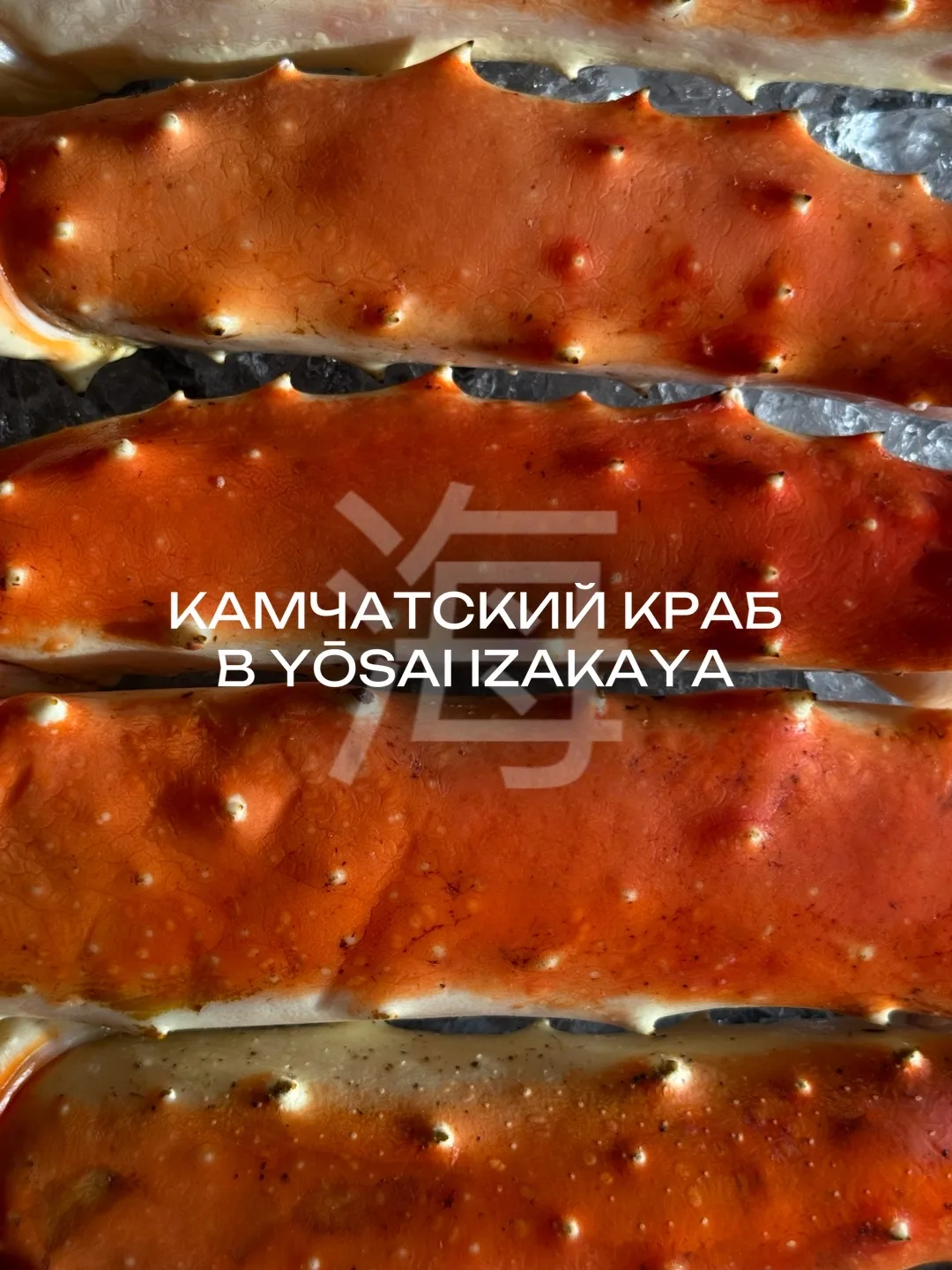 Камчатский краб – один из самых дорогих и сложных в добыче морских деликатесов в мире.