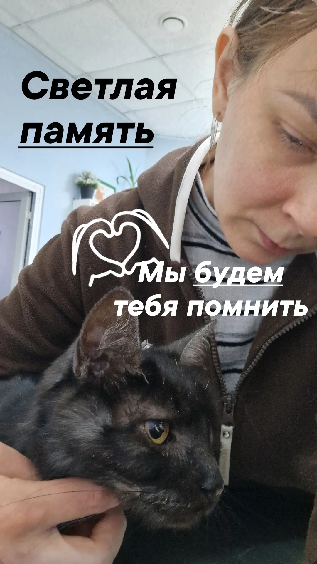 Светлая память. И всё же мы его потеряли... Это было очень непросто, прямо совсем тяжел...