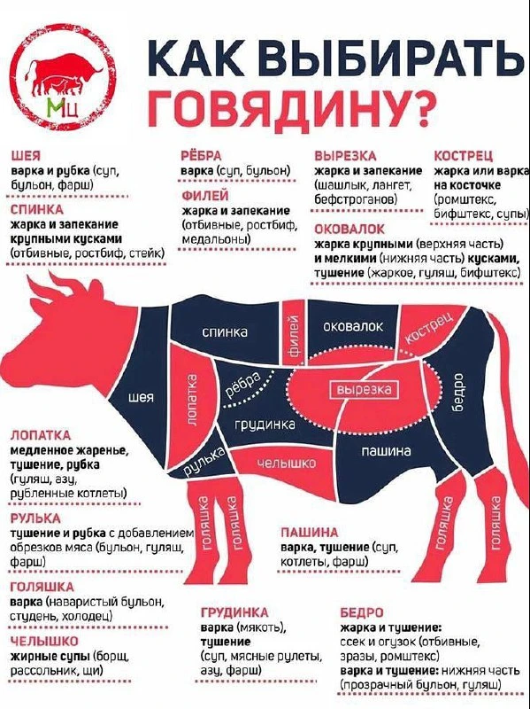 ИНТЕРЕСНЫЕ ФАКТЫ 🙈